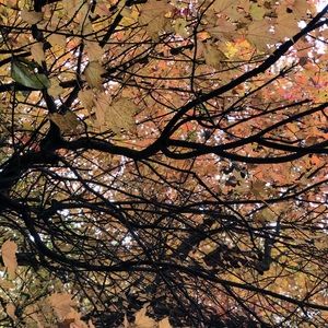 Meet your Posher, Lesly